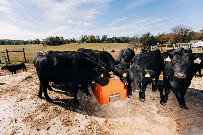 Cow water tank-Tusker-Livestock-VS20E