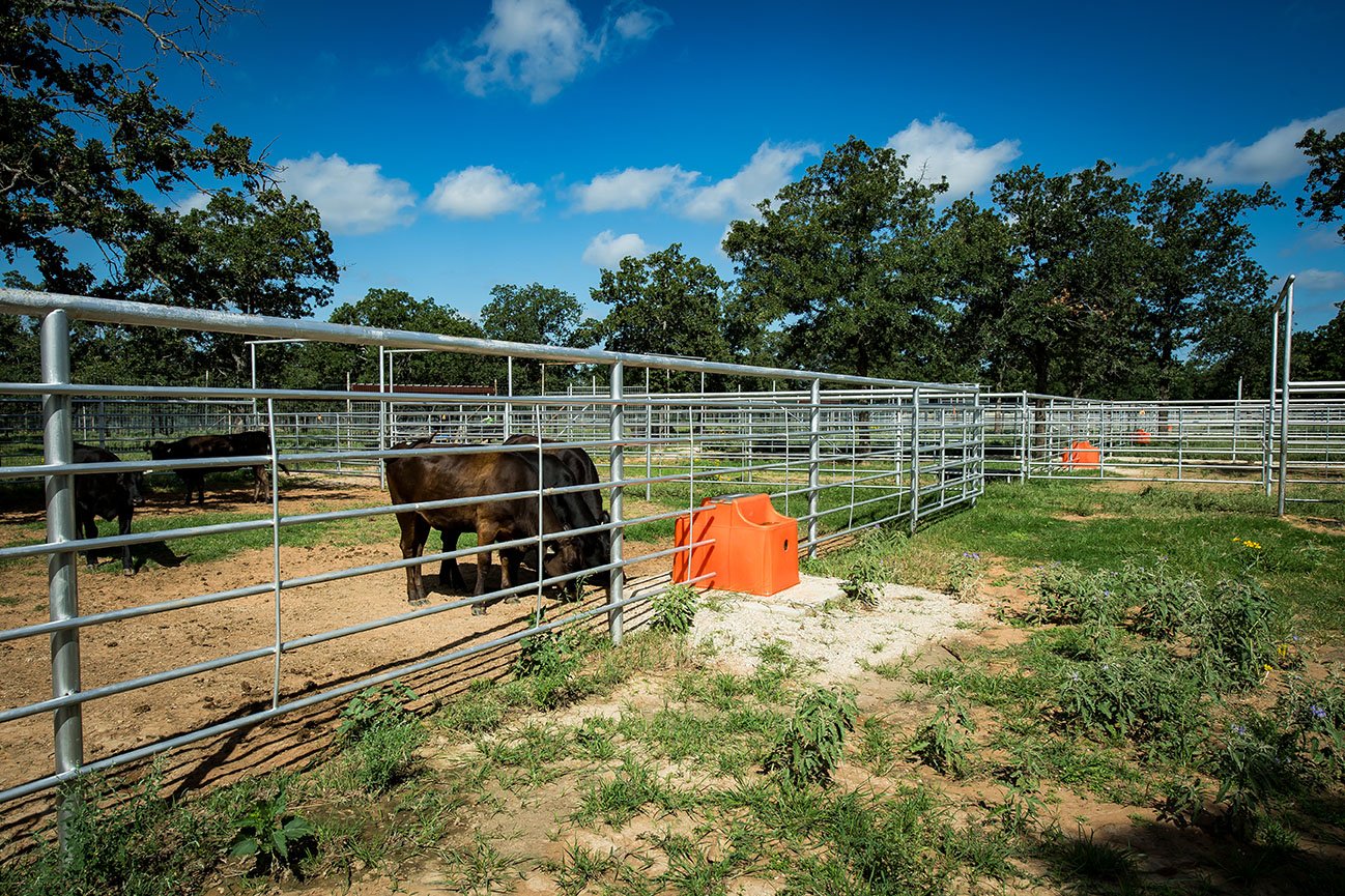 La Roca Range_TX_Tusker_Double Electric Automatic Waterer VS20E_56-Web