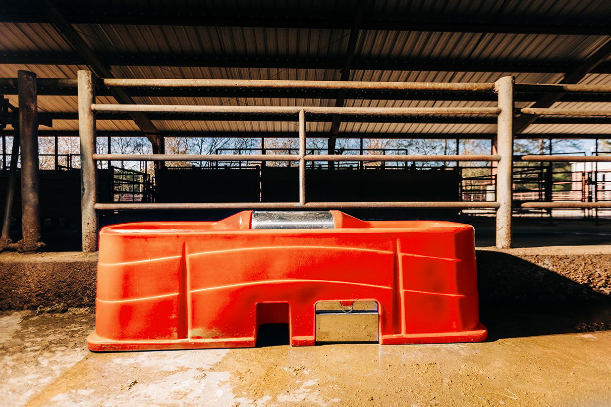 Livestock Water Trough Size Guide: Choosing the Right Trough for Your Herd