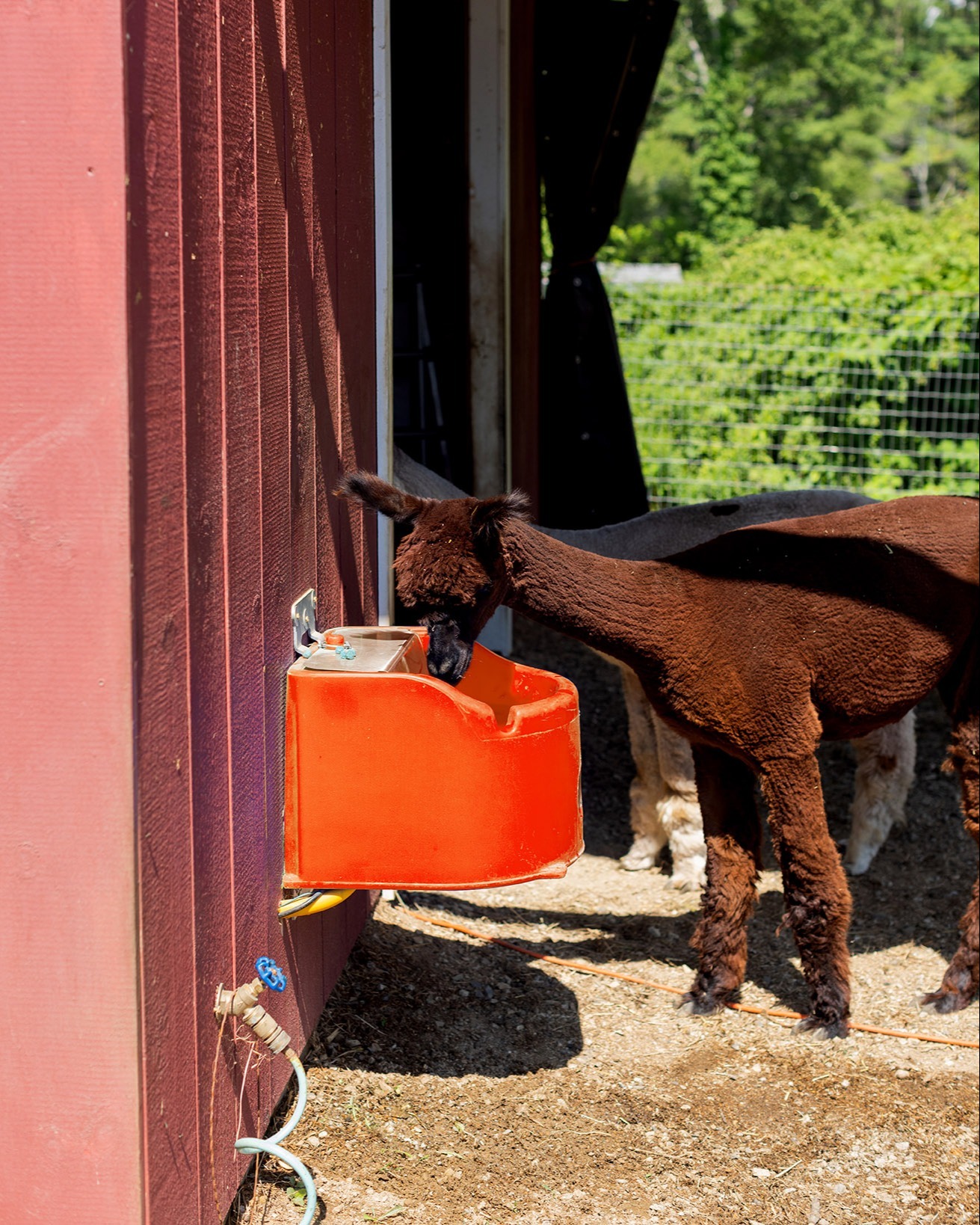 Crocketts Brook Farm-ME-Tusker-Low Profile Stall Electric EE10NG-08-Web